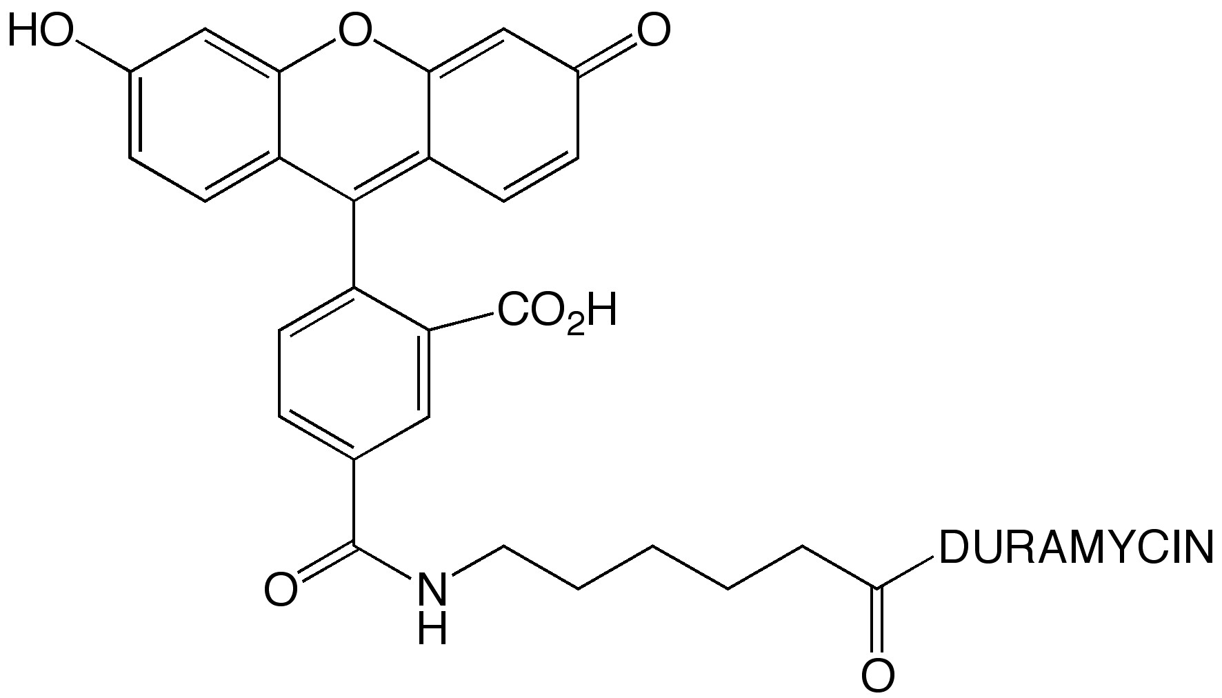 Duramycin-LC-Fluorescein