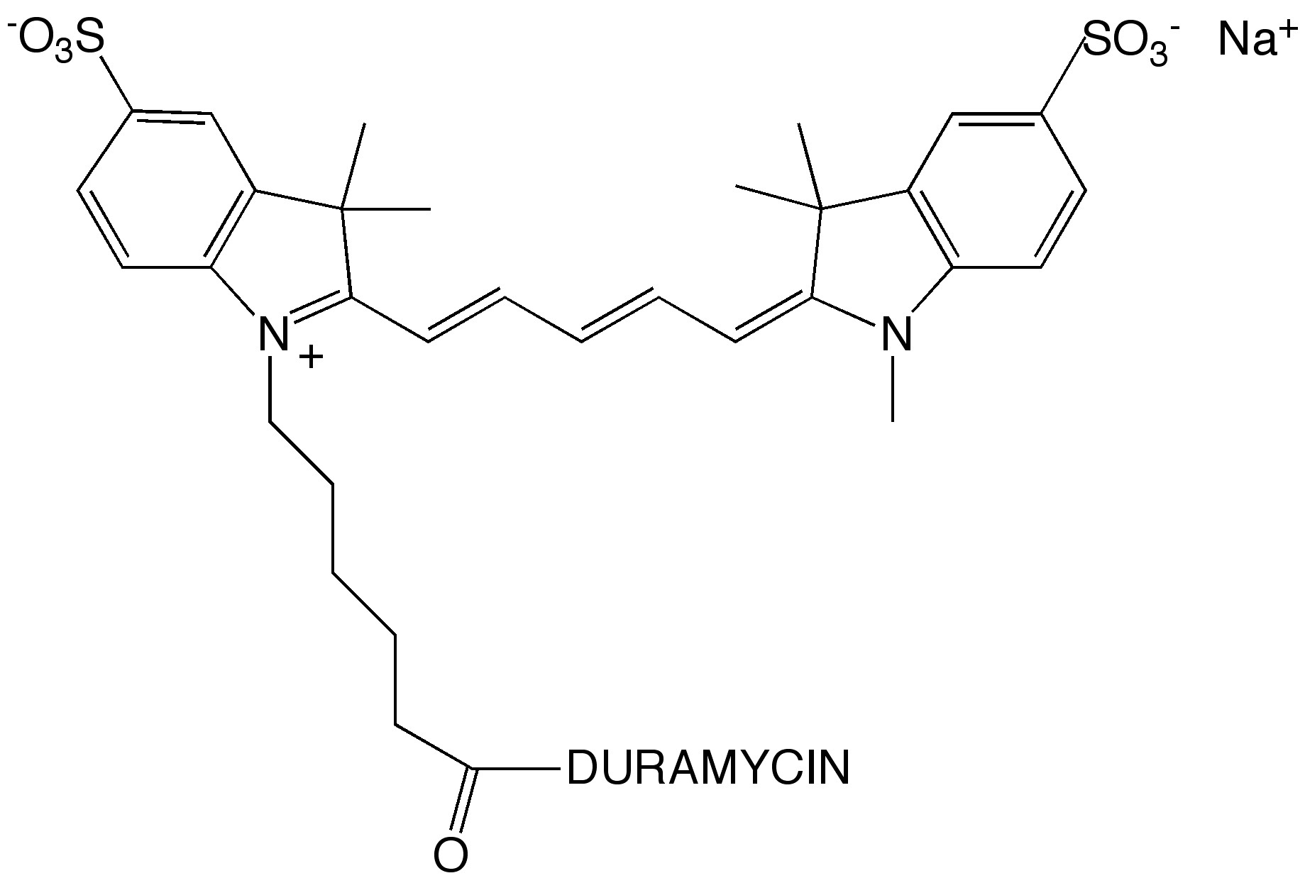 Duramycin-Cy5 Conjugate