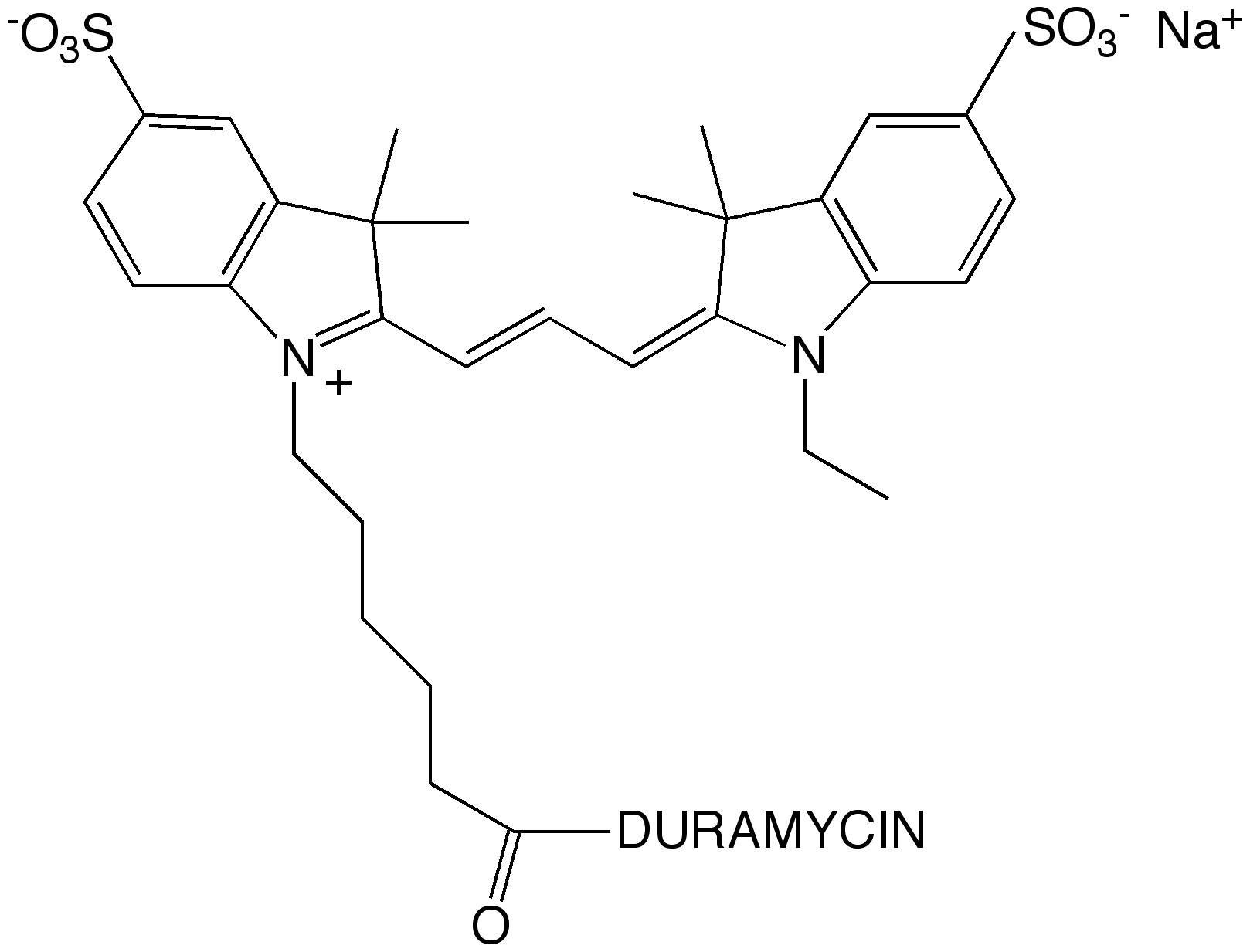Duramycin-Cy3 Fluorescent Conjugate
